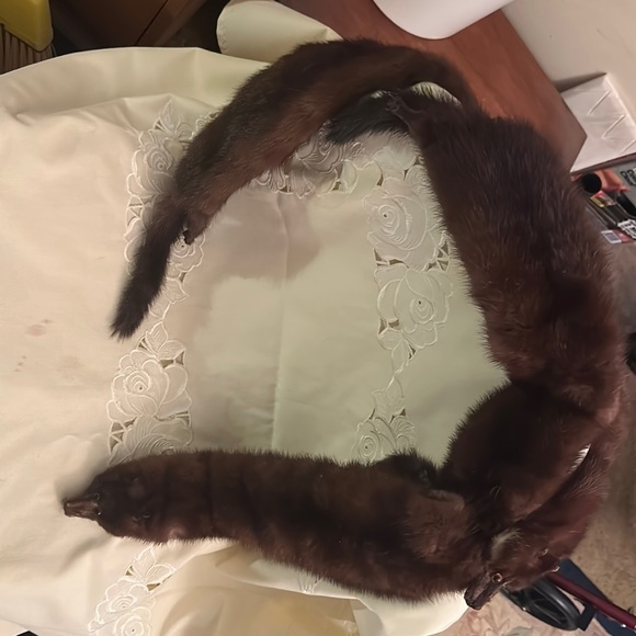 Full Mink Body - 30s Era - Picture 1 of 1